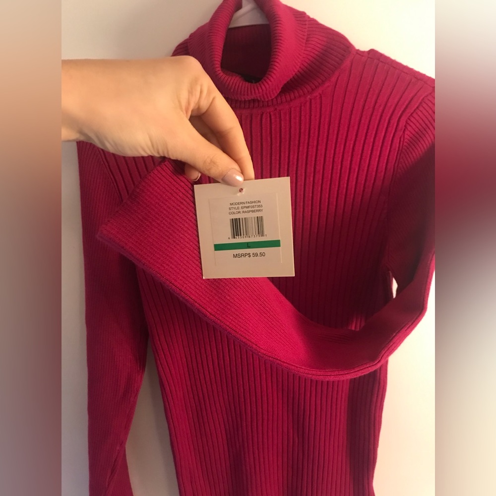 Rasberry warm sweater | Brand: Ellen Tracy | Size: Large | Style:long sleeve